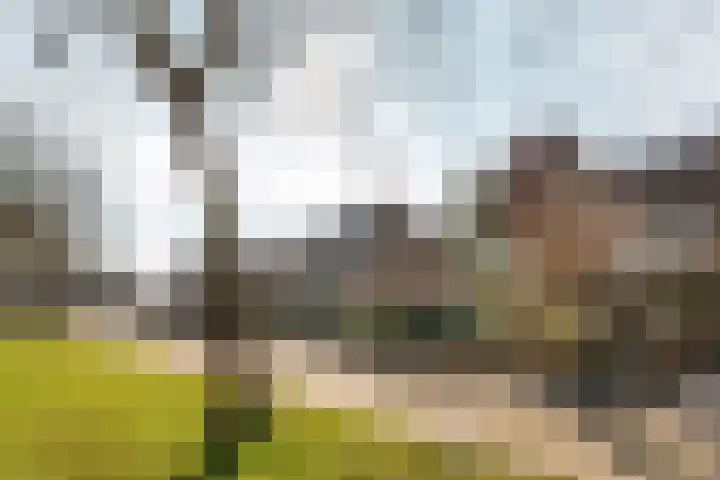 Copernicuslaan 164 Den Haag thumbnail 4