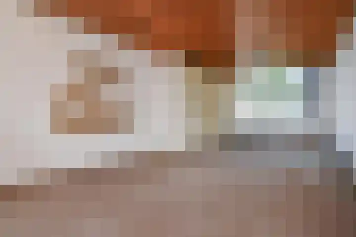 Copernicuslaan 164 Den Haag thumbnail 7