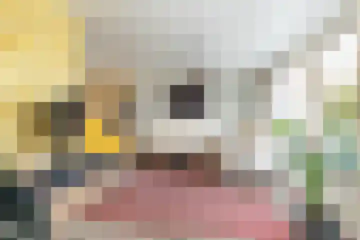 Copernicuslaan 18 Hoogeveen thumbnail 10
