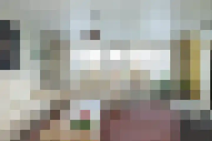Copernicuslaan 18 Hoogeveen thumbnail 12