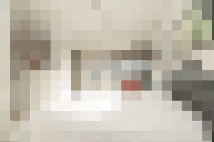 Copernicuslaan 18 Hoogeveen thumbnail 31