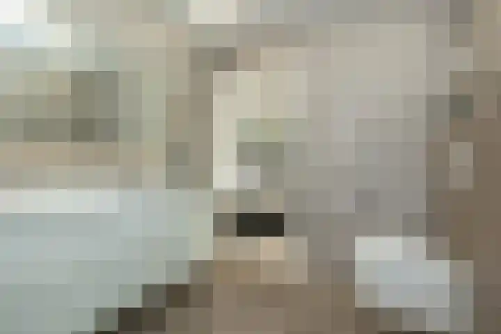 Copernicuslaan 18 Hoogeveen thumbnail 36