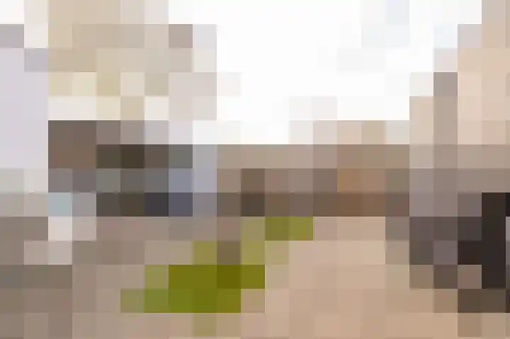Copernicuslaan 18 Hoogeveen thumbnail 39