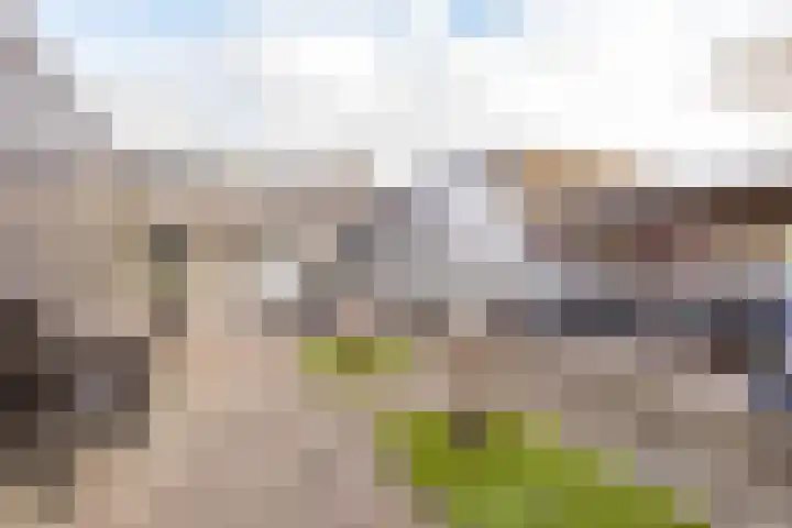 Copernicuslaan 18 Hoogeveen thumbnail 40
