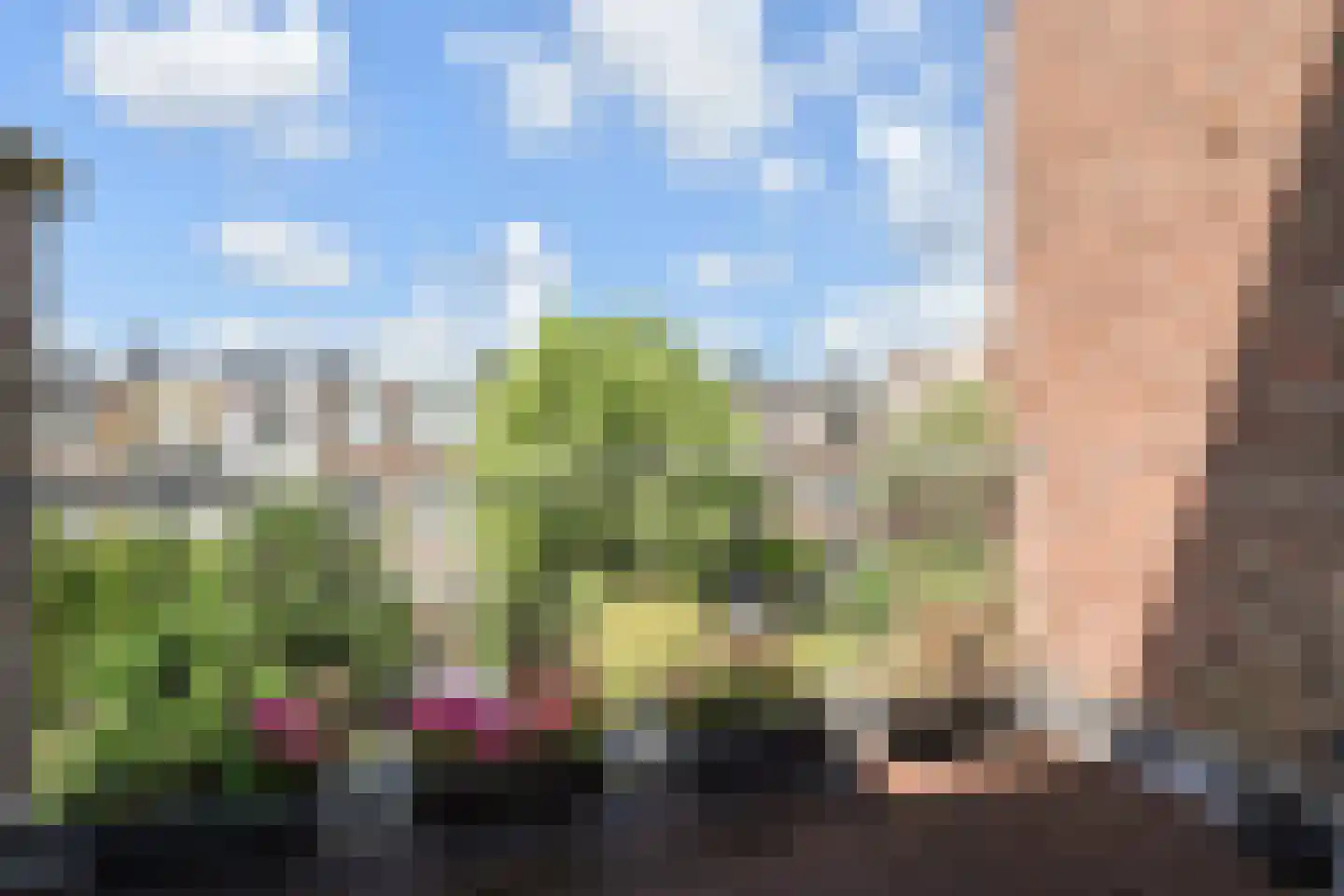 Copernicuslaan 199 Den Haag thumbnail 17