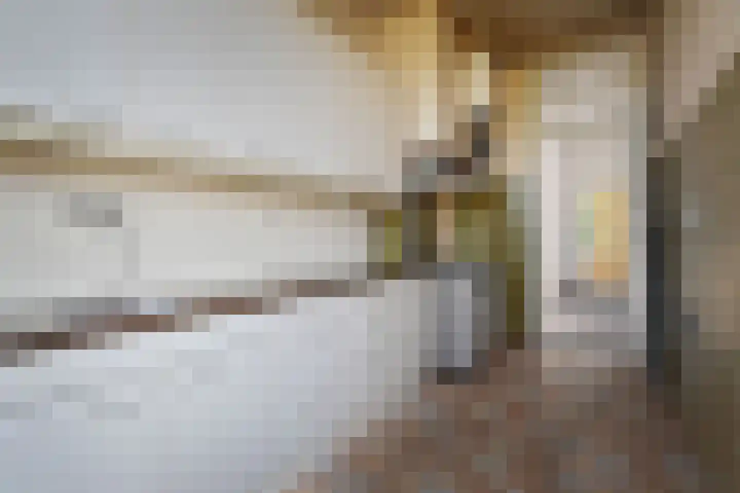 Copernicuslaan 199 Den Haag thumbnail 19