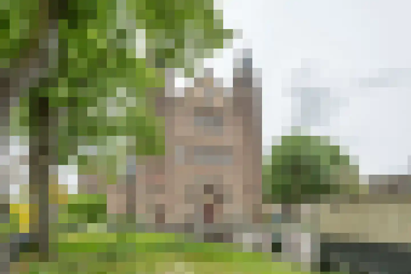 Copernicuslaan 199 Den Haag thumbnail 30