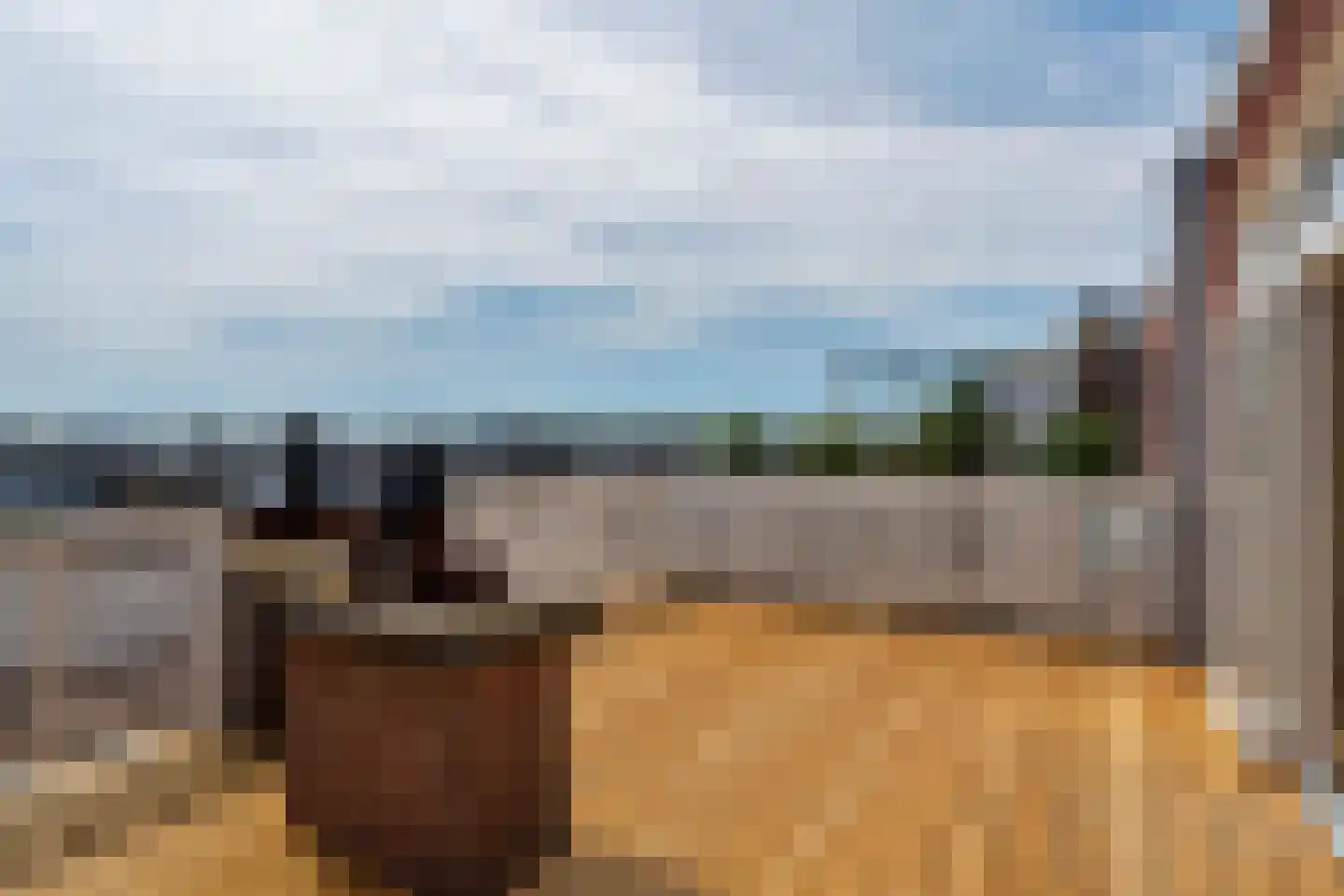 Copernicuslaan 2 A Den Haag thumbnail 17