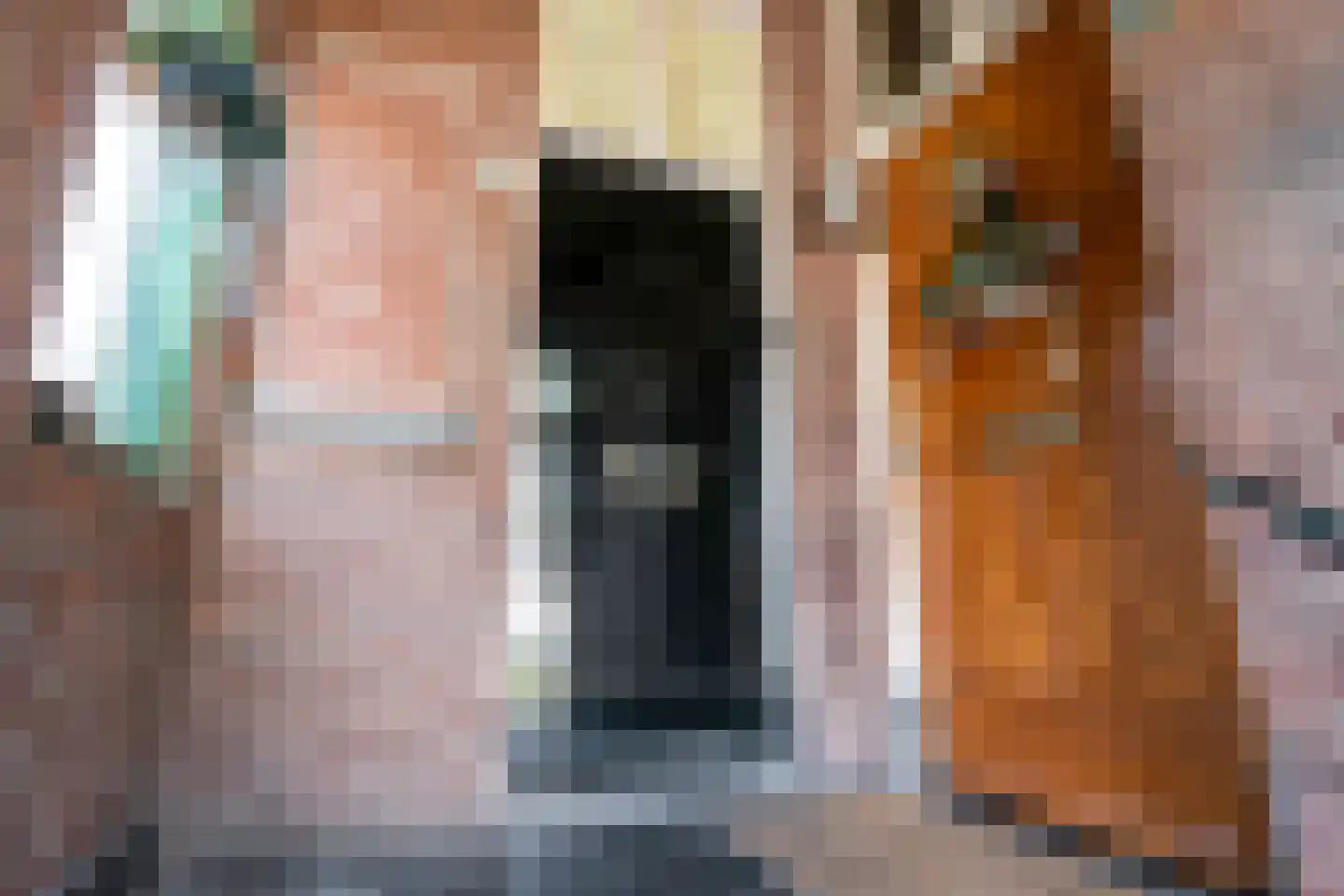 Copernicuslaan 2 A Den Haag thumbnail 31