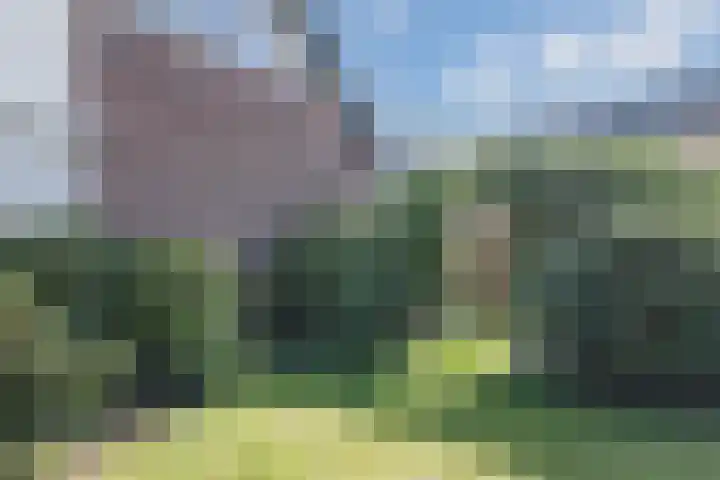 Copernicuslaan 3 Hoogeveen thumbnail 43