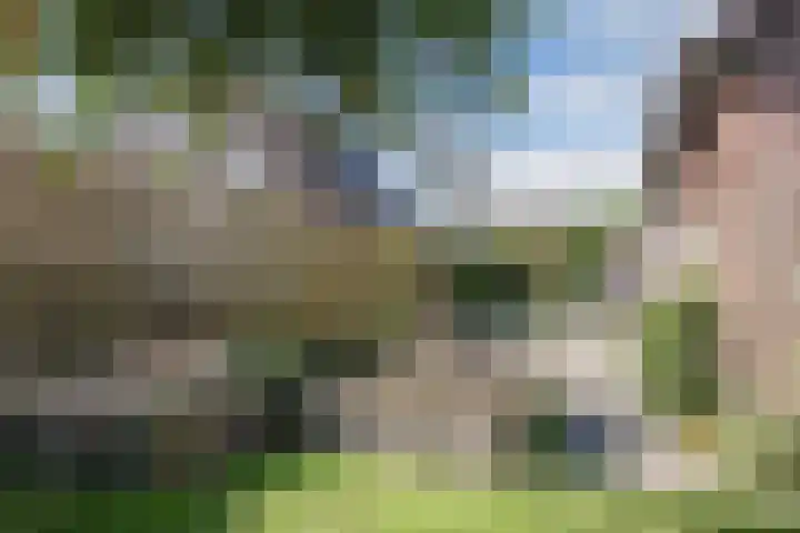 Copernicuslaan 3 Hoogeveen thumbnail 44