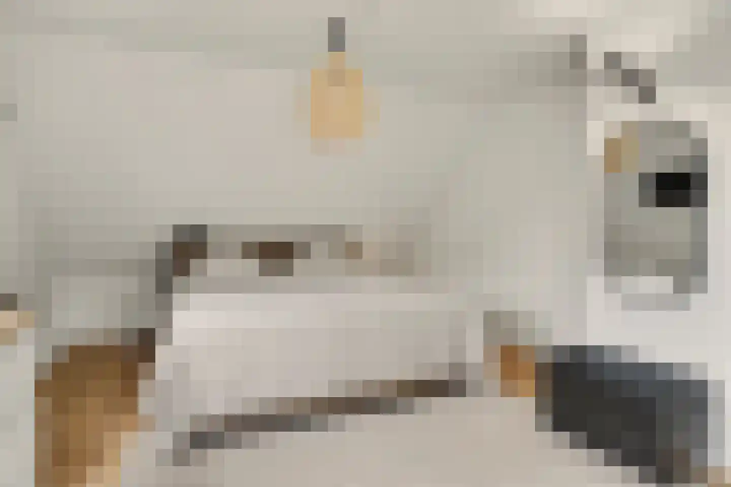Copernicuslaan 36 Vlijmen thumbnail 18