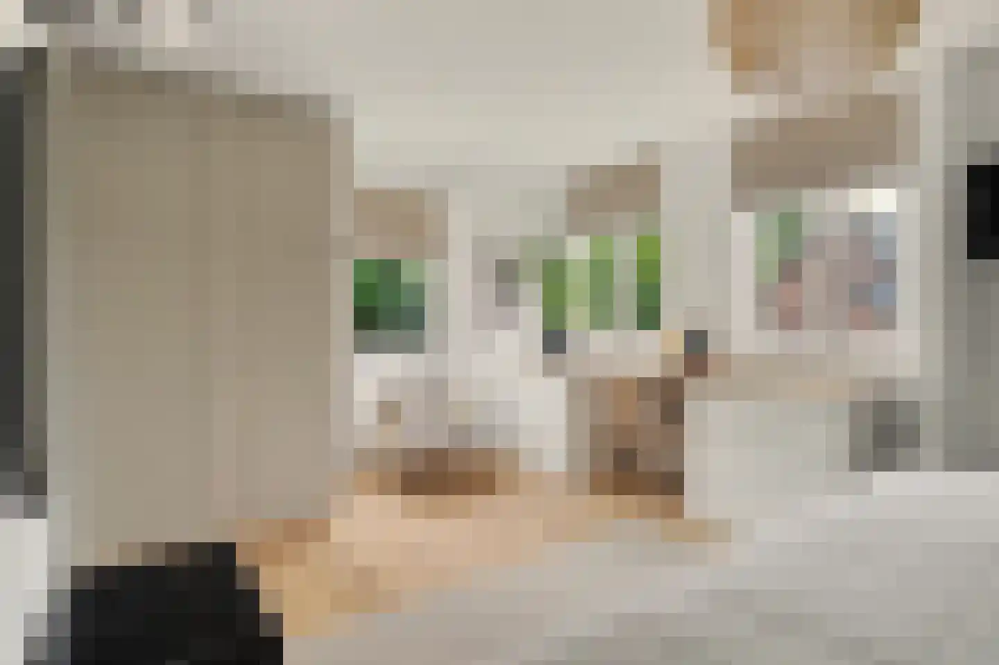 Copernicuslaan 36 Vlijmen thumbnail 19