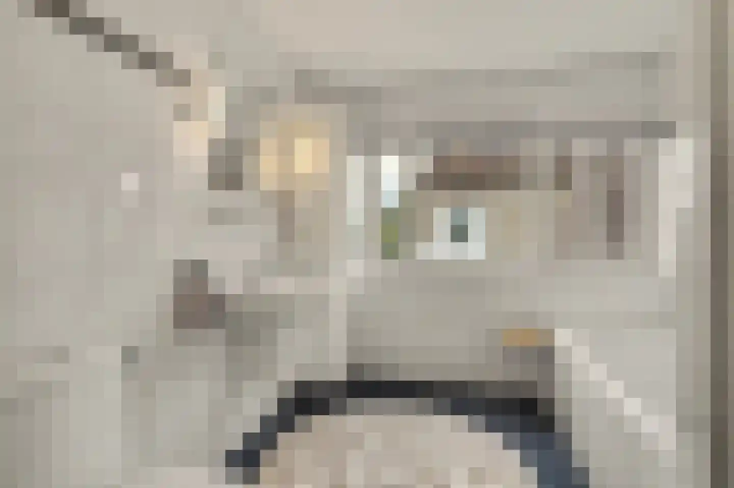 Copernicuslaan 36 Vlijmen thumbnail 22