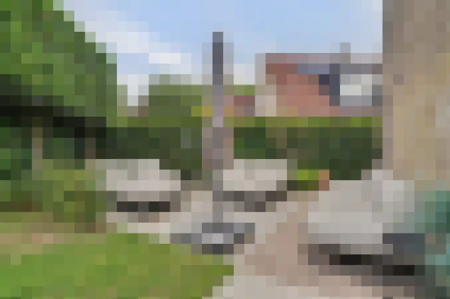 Copernicuslaan 36 Vlijmen thumbnail 37
