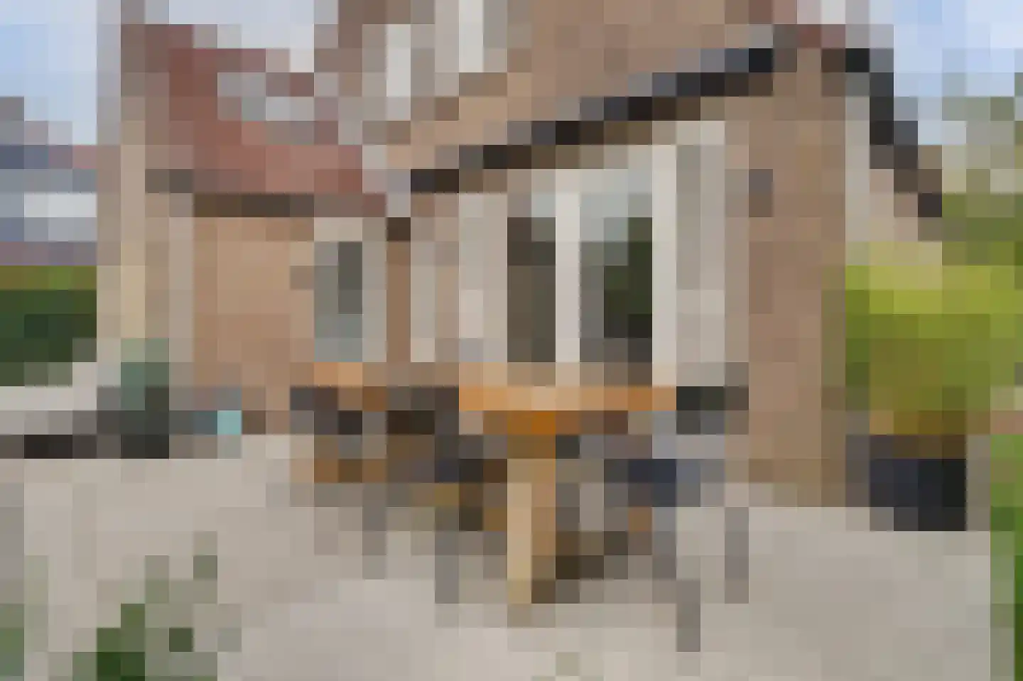 Copernicuslaan 36 Vlijmen thumbnail 39