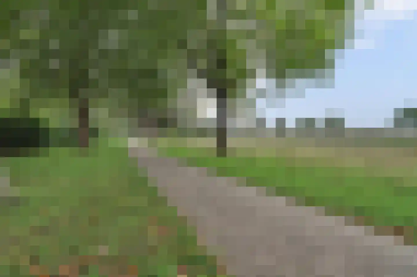 Copernicuslaan 36 Vlijmen thumbnail 50