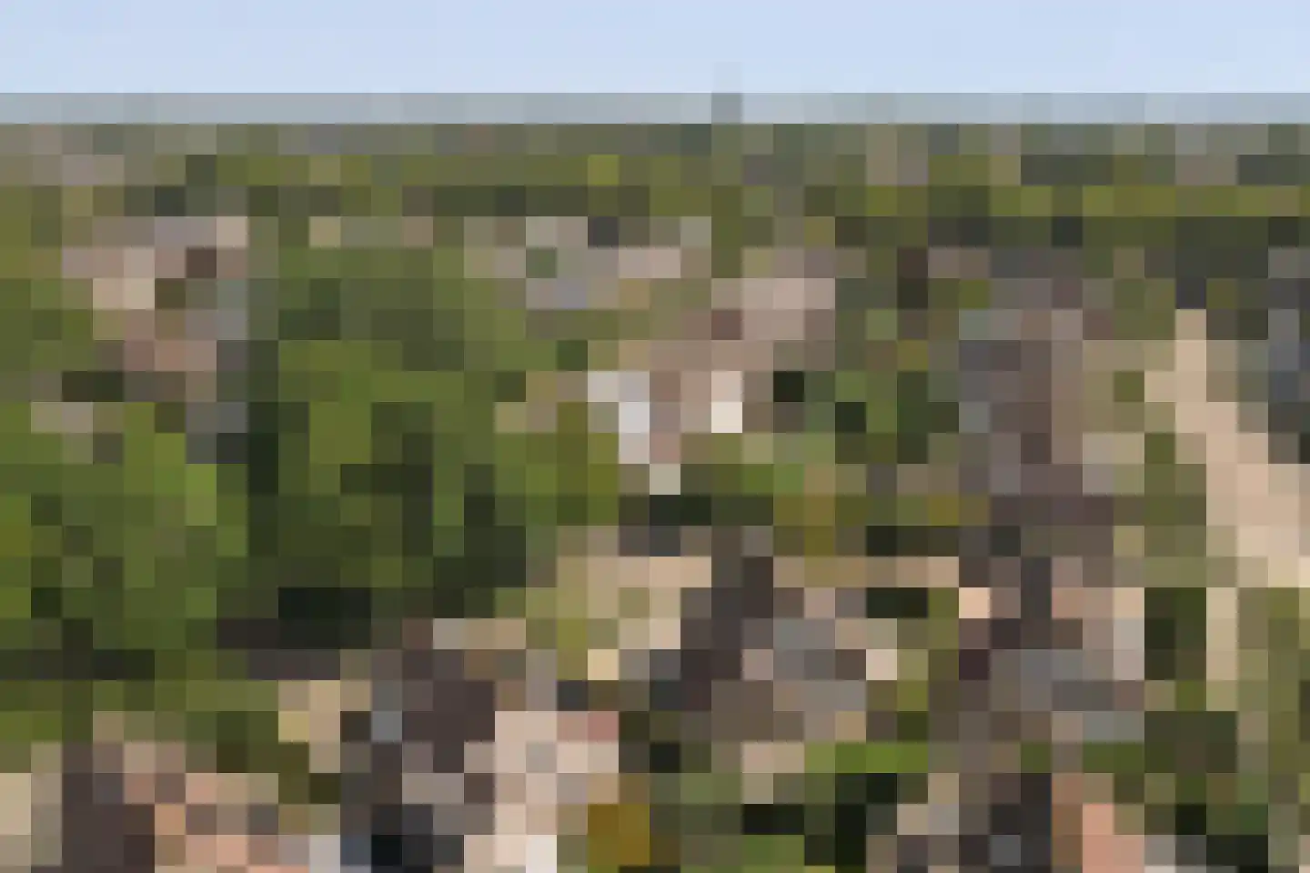Copernicuslaan 36 Vlijmen thumbnail 51
