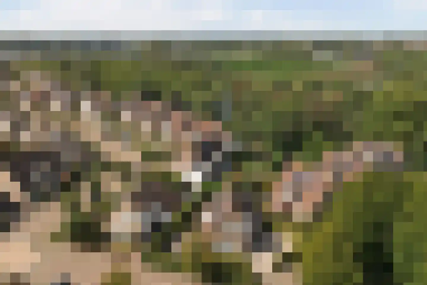 Copernicuslaan 36 Vlijmen thumbnail 52