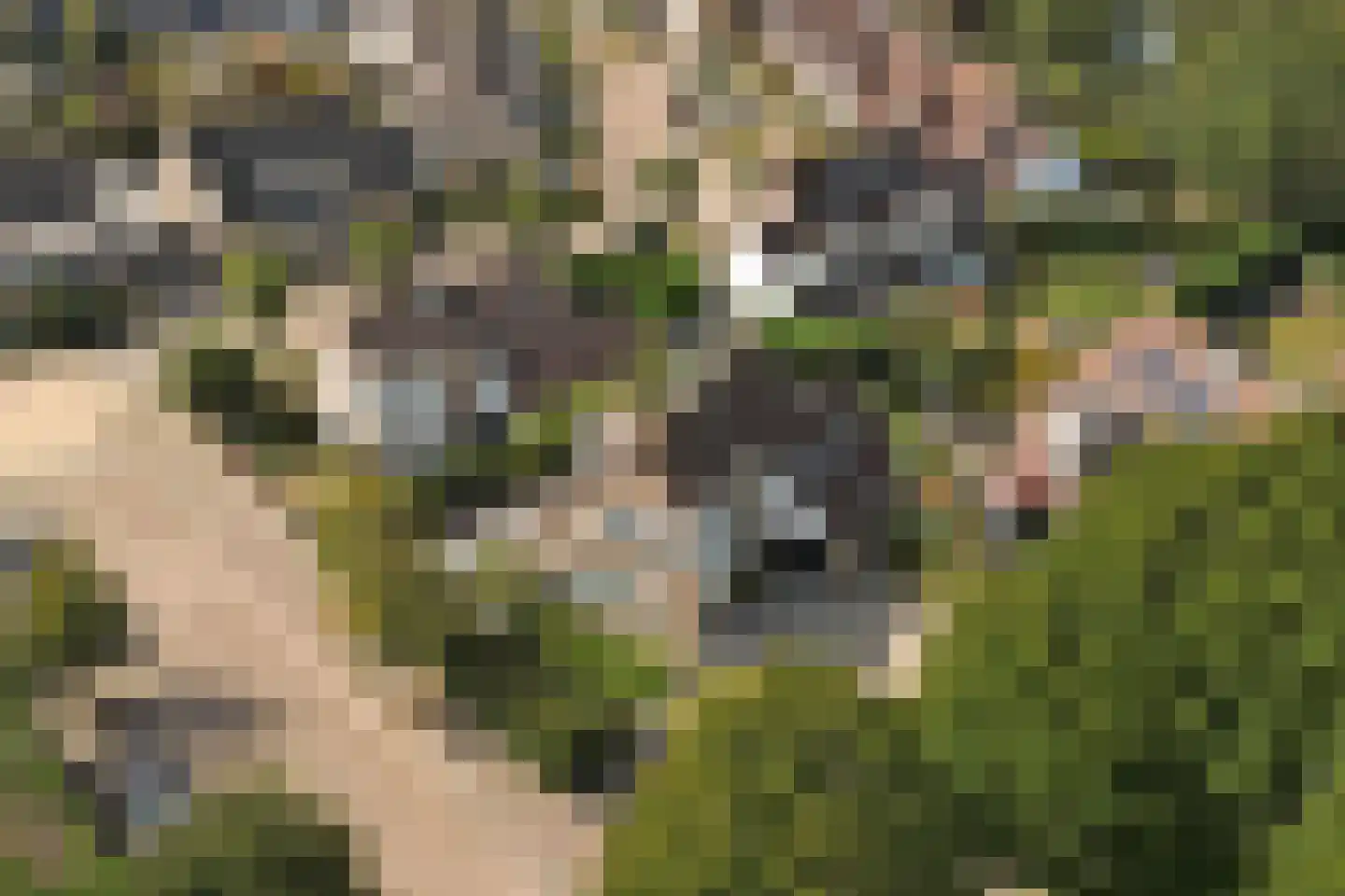 Copernicuslaan 36 Vlijmen thumbnail 54