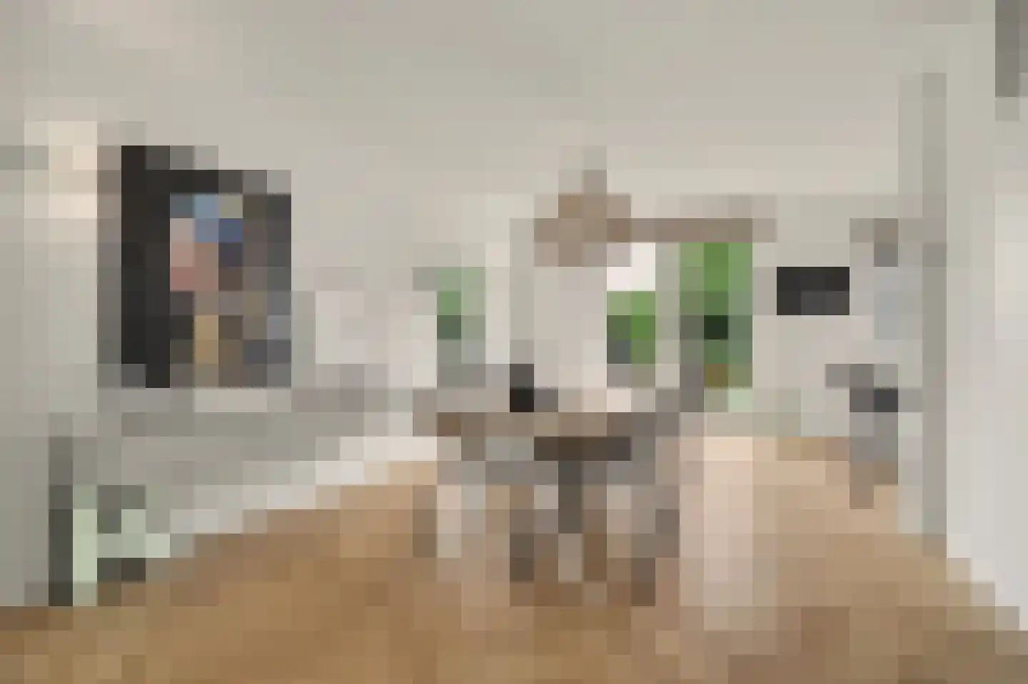 Copernicuslaan 36 Vlijmen thumbnail 8