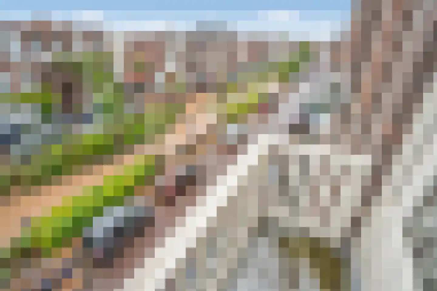 Copernicuslaan 42 Den Haag thumbnail 13