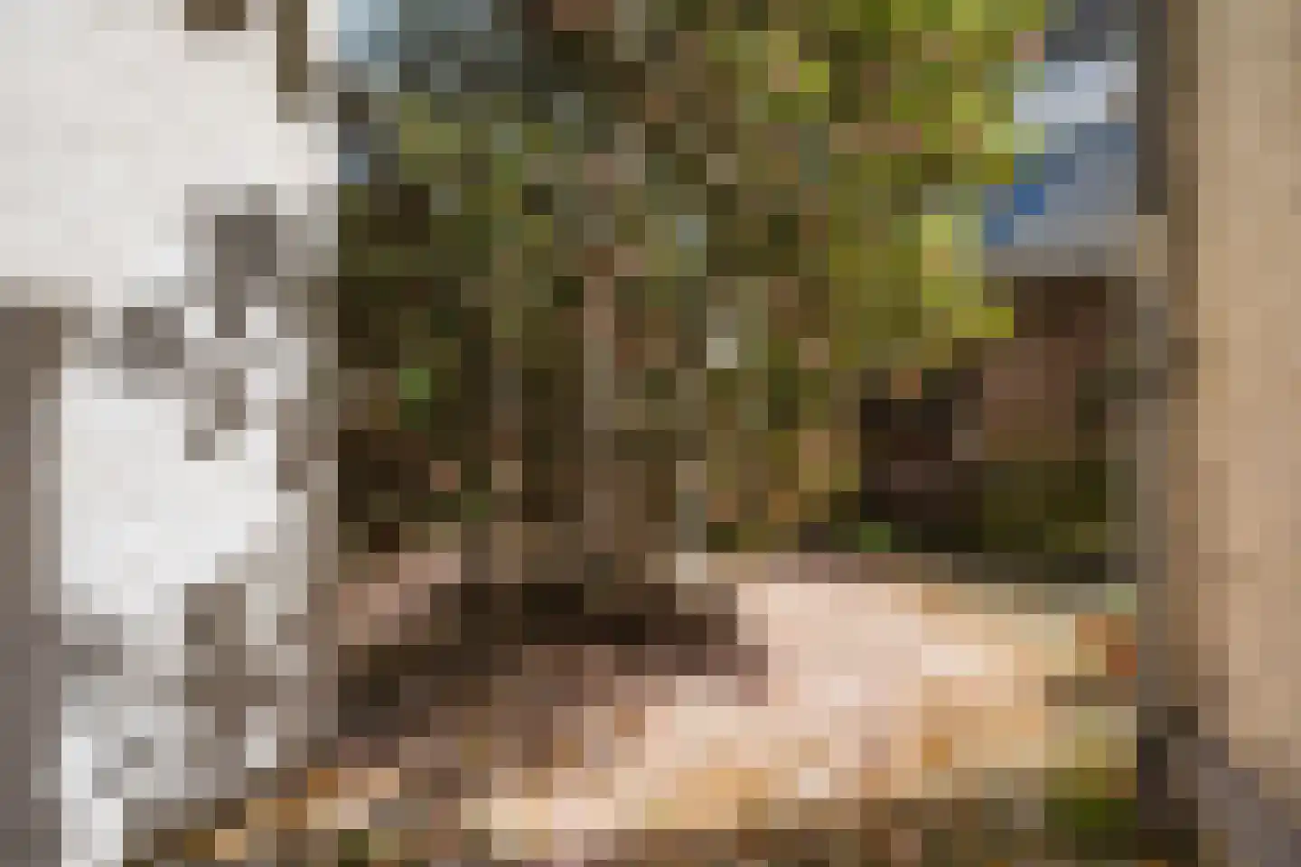 Copernicuslaan 46 Den Haag thumbnail 35