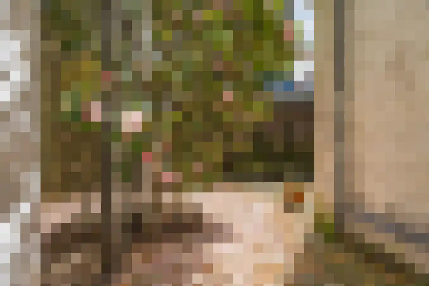 Copernicuslaan 46 Den Haag thumbnail 36