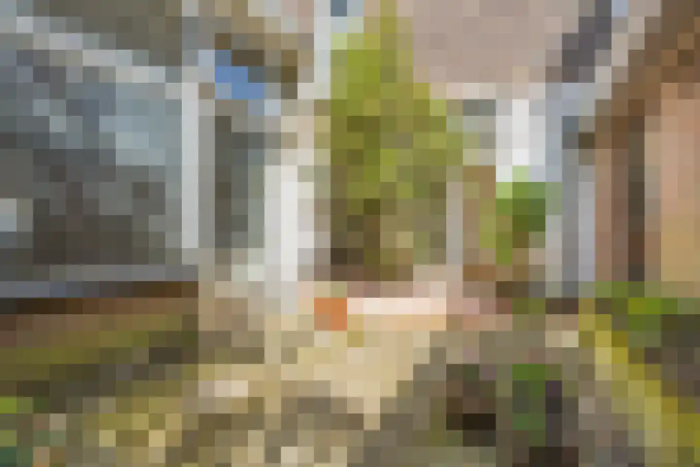 Copernicuslaan 46 Den Haag thumbnail 37