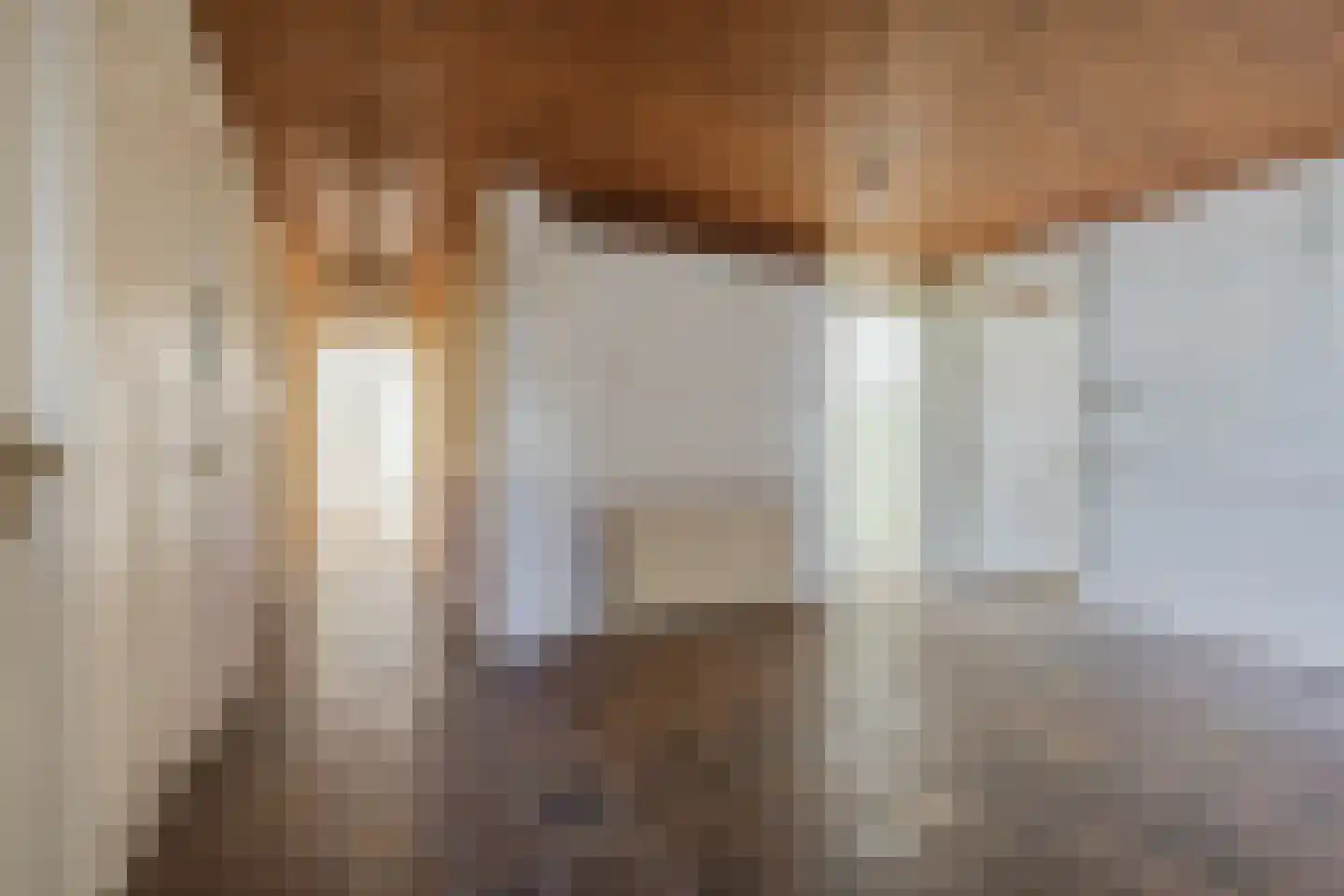 Copernicuslaan 46 Den Haag thumbnail 9