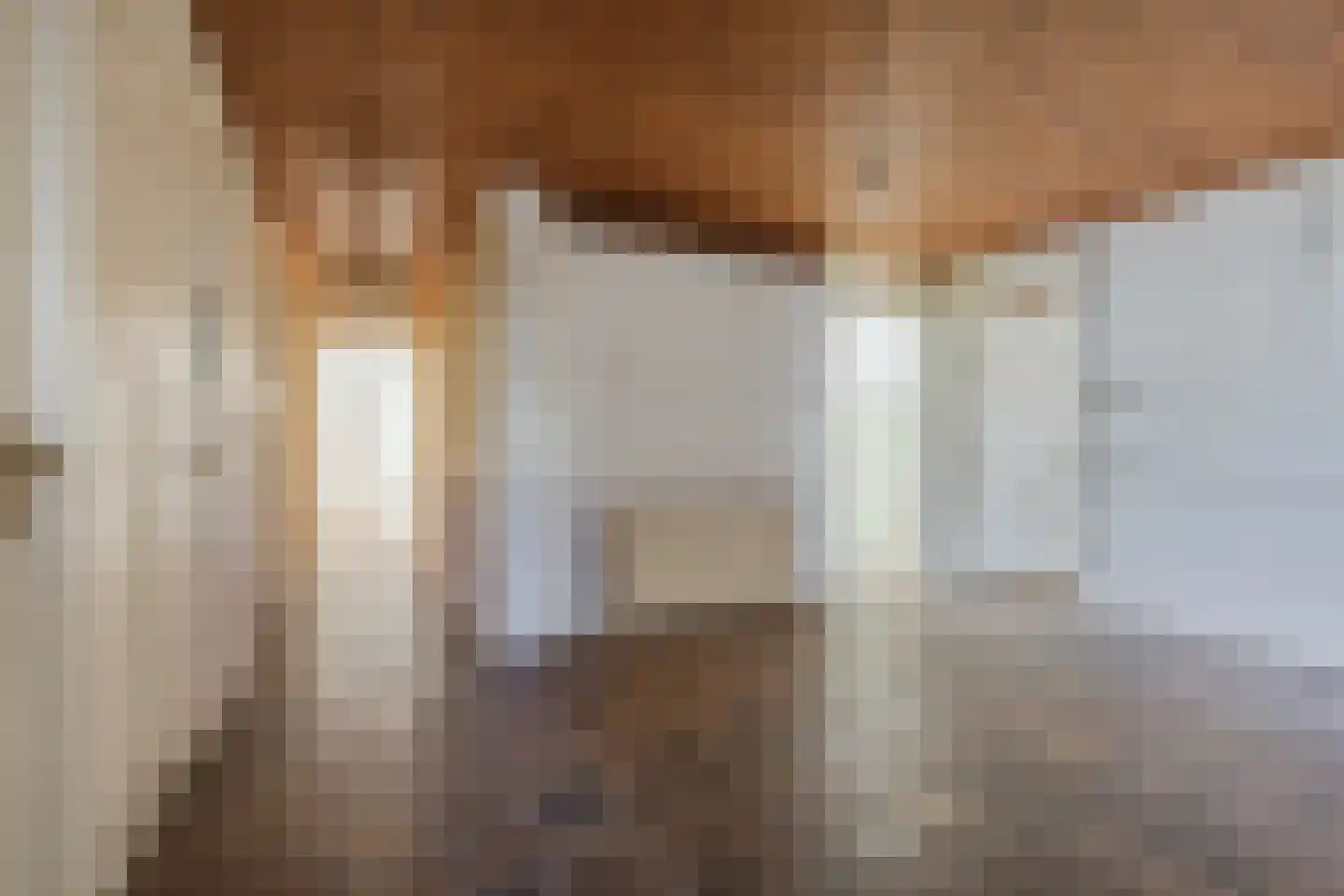 Copernicuslaan 46 Den Haag thumbnail 9