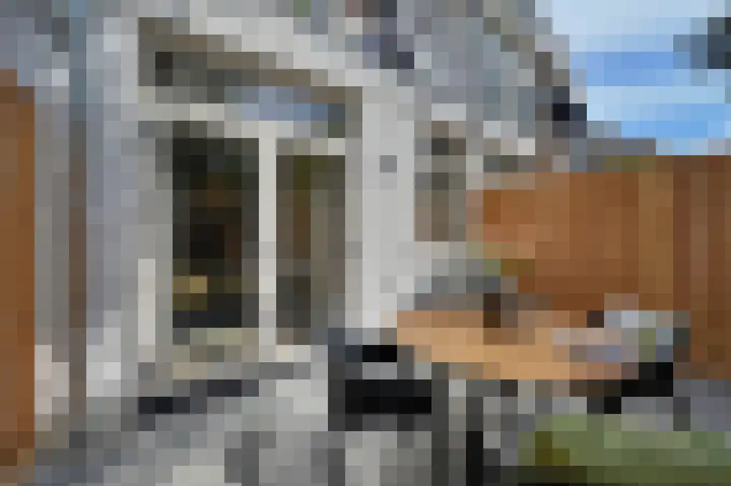 Copernicuslaan 58 A Den Haag thumbnail 19