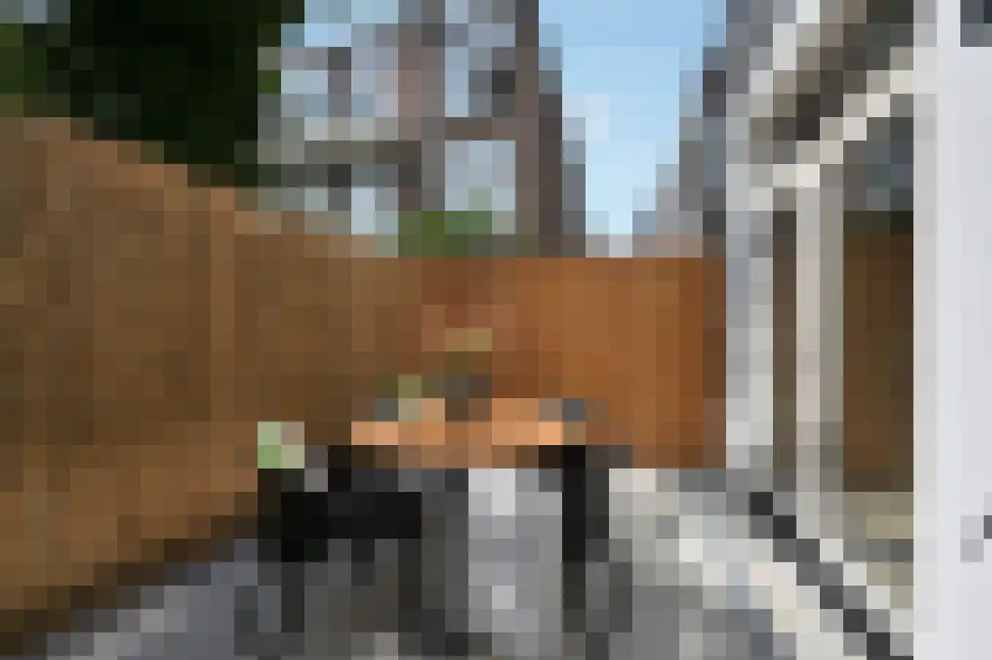 Copernicuslaan 58 A Den Haag thumbnail 21