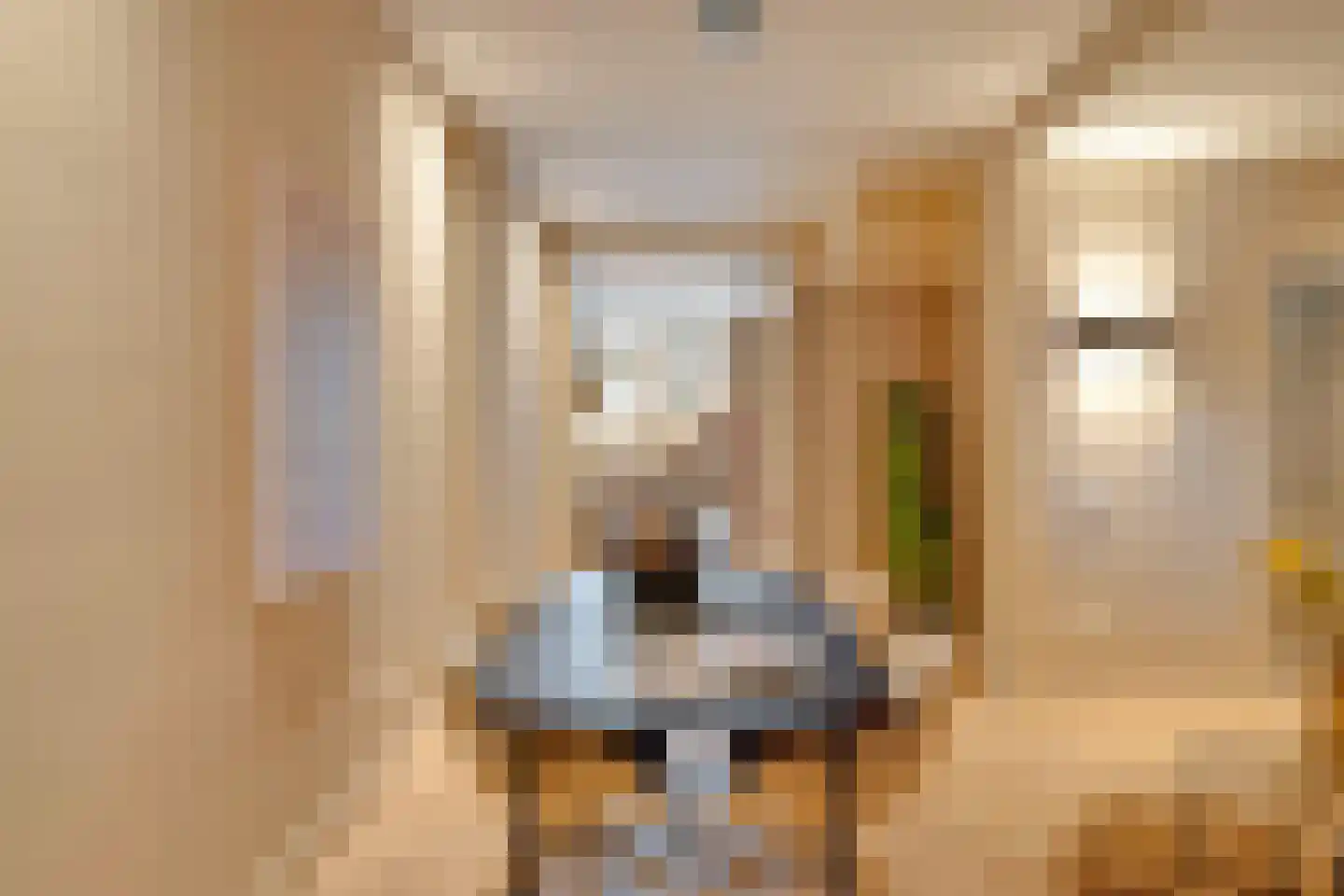 Copernicuslaan 58 C Den Haag thumbnail 14