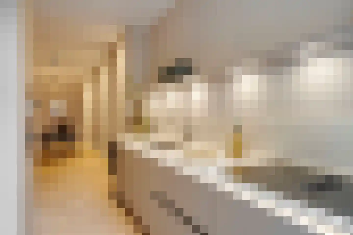 Copernicuslaan 58 C Den Haag thumbnail 18