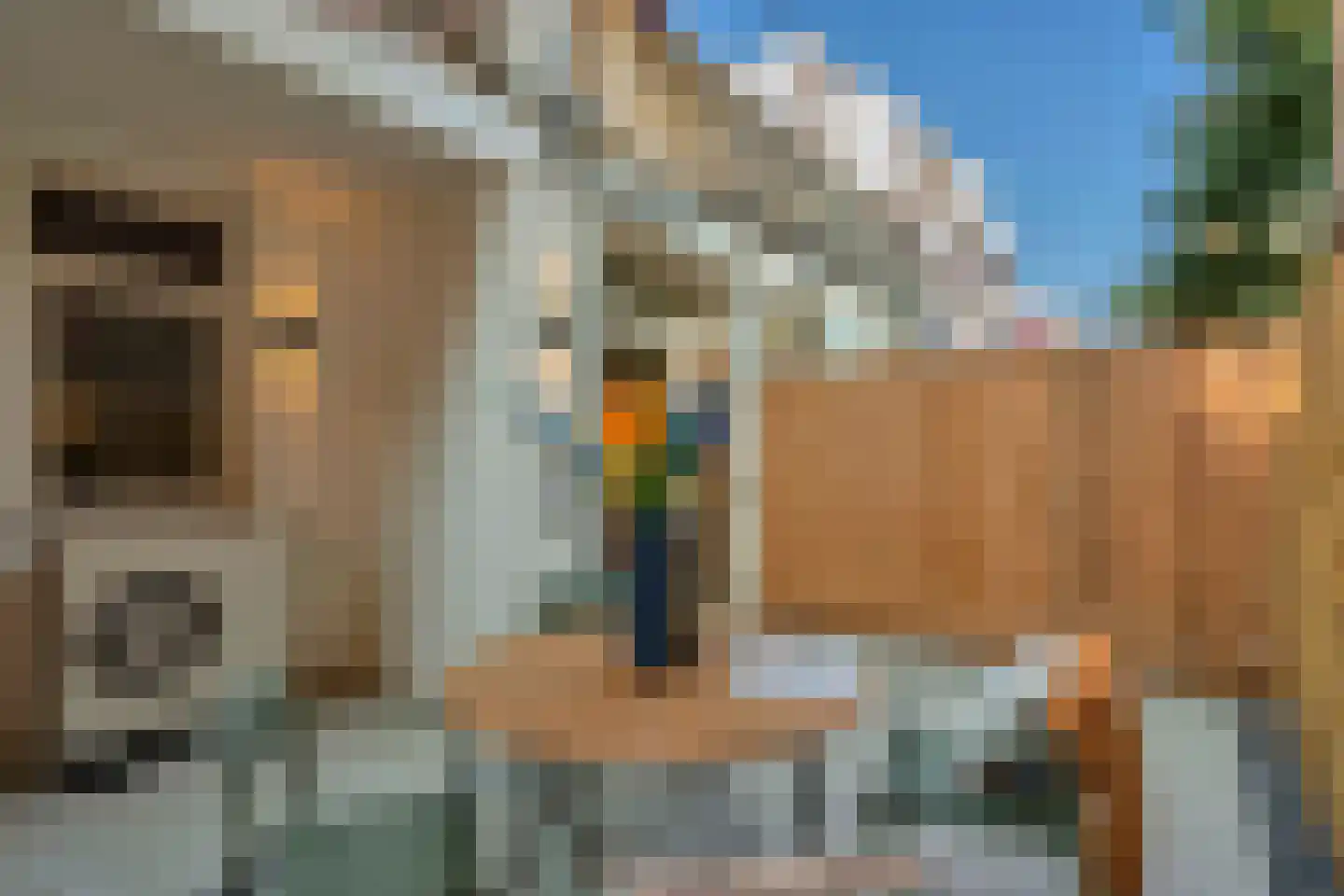 Copernicuslaan 58 C Den Haag thumbnail 23