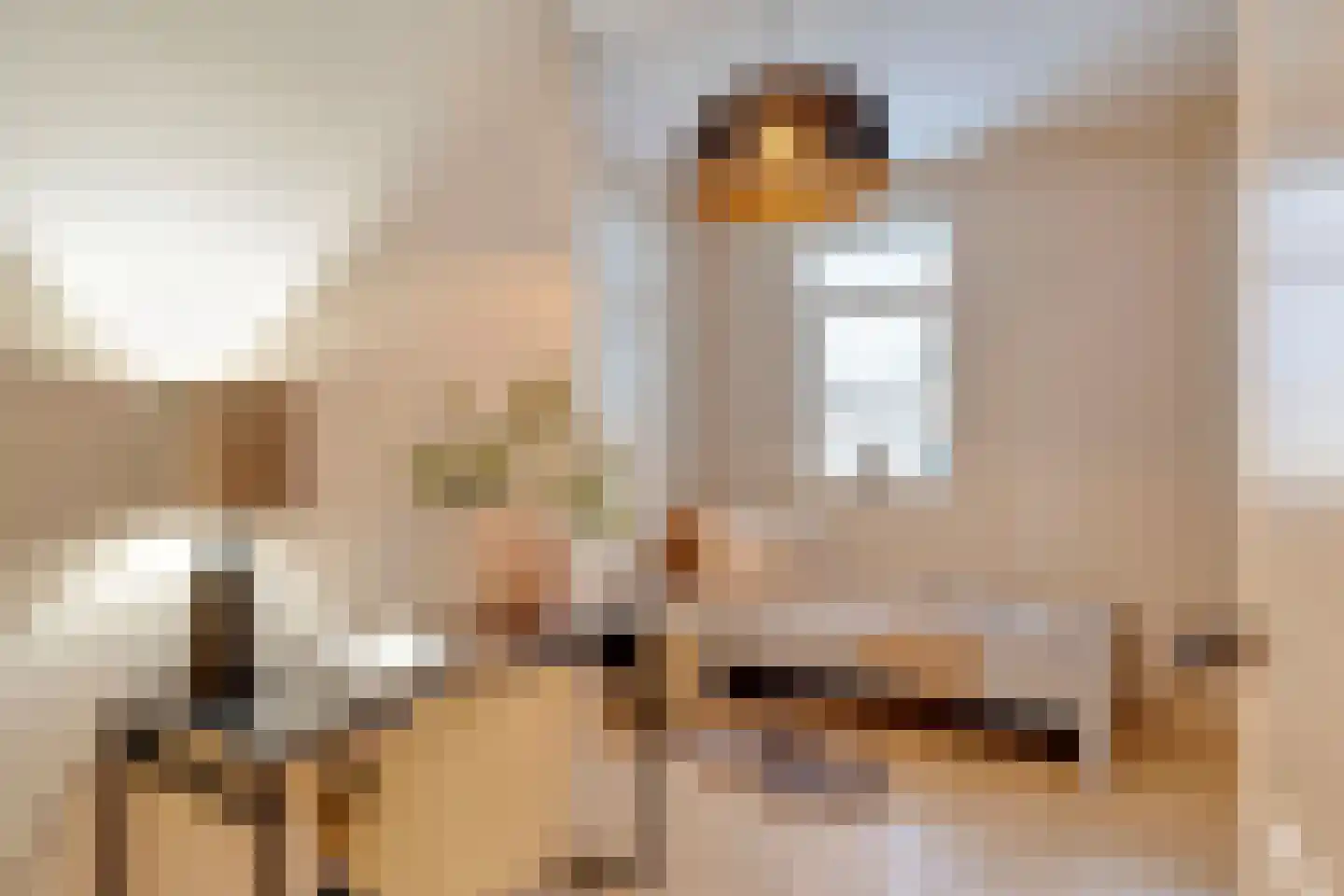 Copernicuslaan 58 C Den Haag thumbnail 31