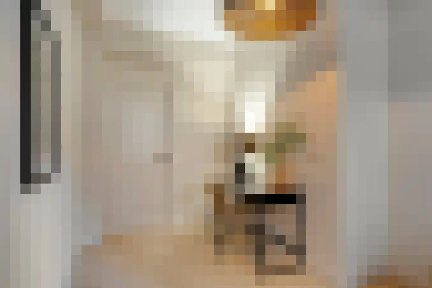 Copernicuslaan 58 C Den Haag thumbnail 32