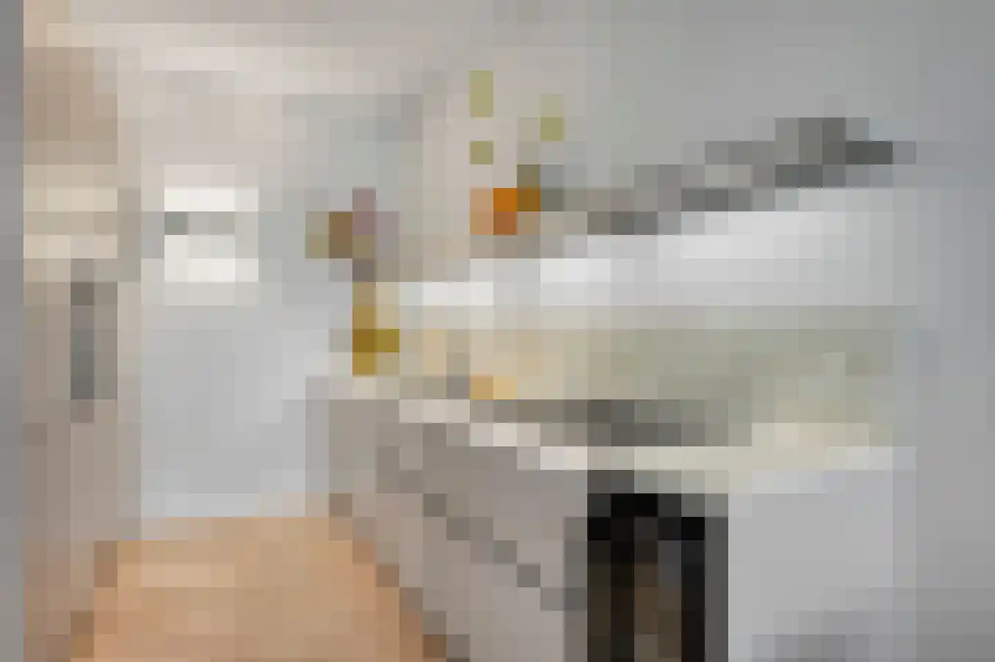 Copernicuslaan 58 Den Haag thumbnail 11