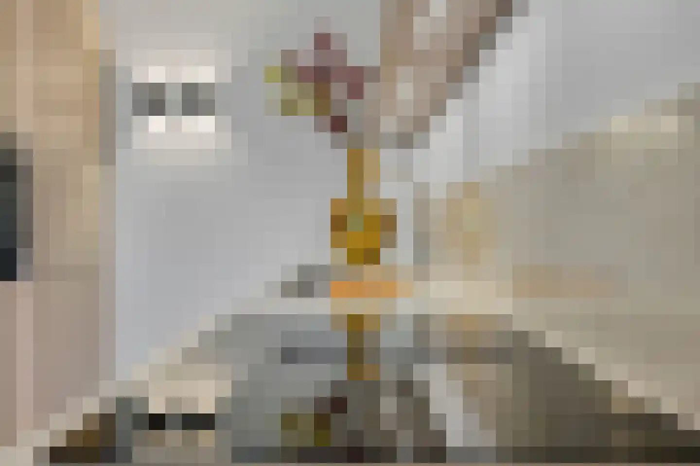 Copernicuslaan 58 Den Haag thumbnail 12