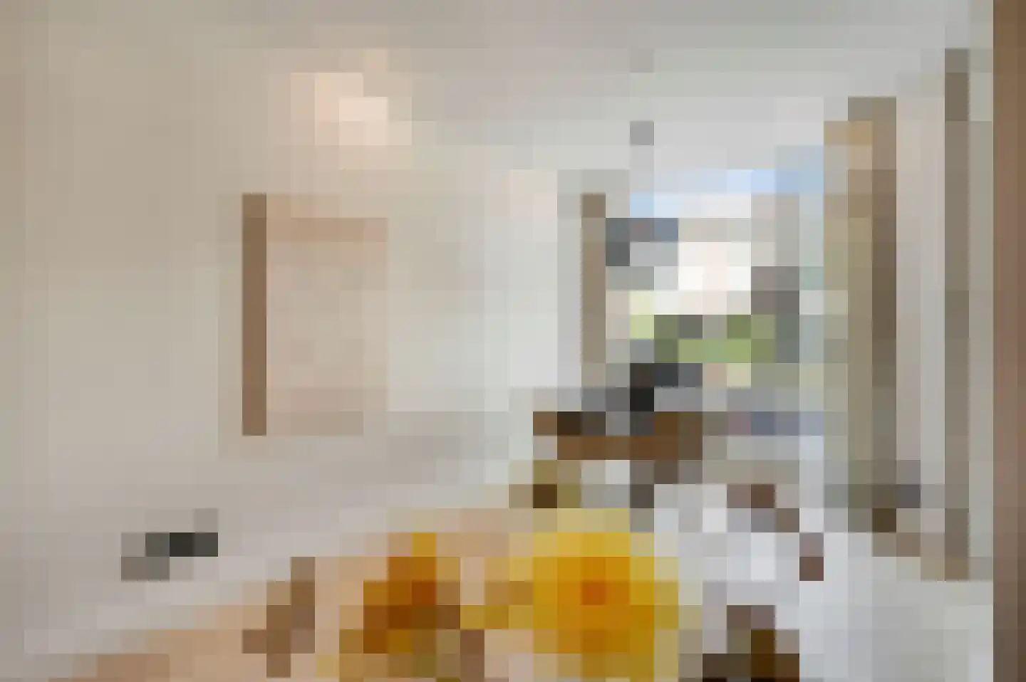 Copernicuslaan 58 Den Haag thumbnail 13