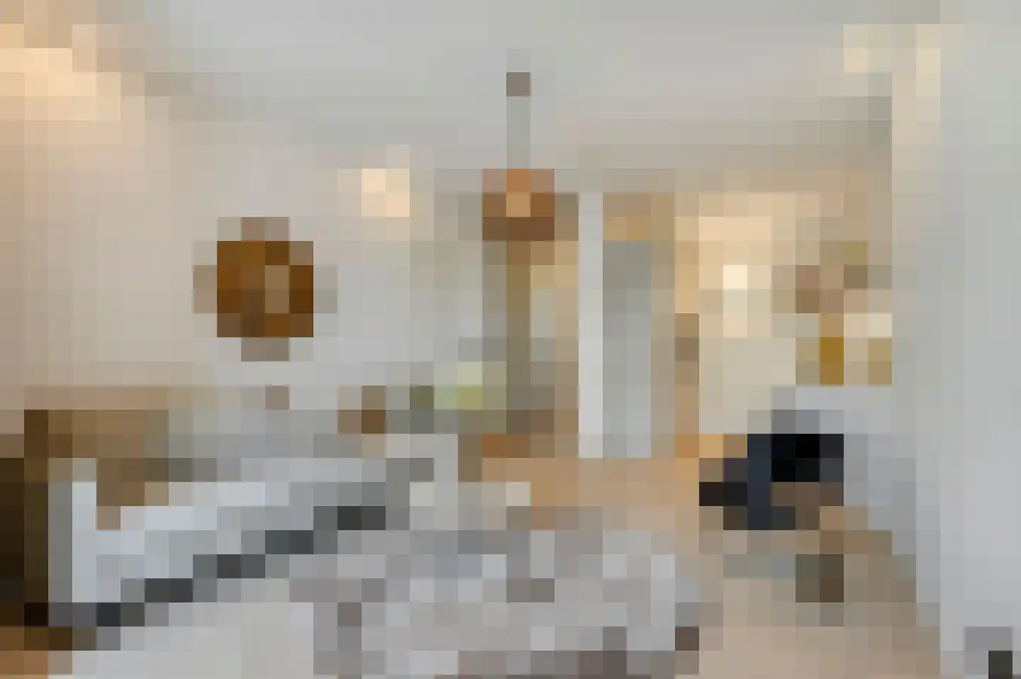 Copernicuslaan 58 Den Haag thumbnail 4