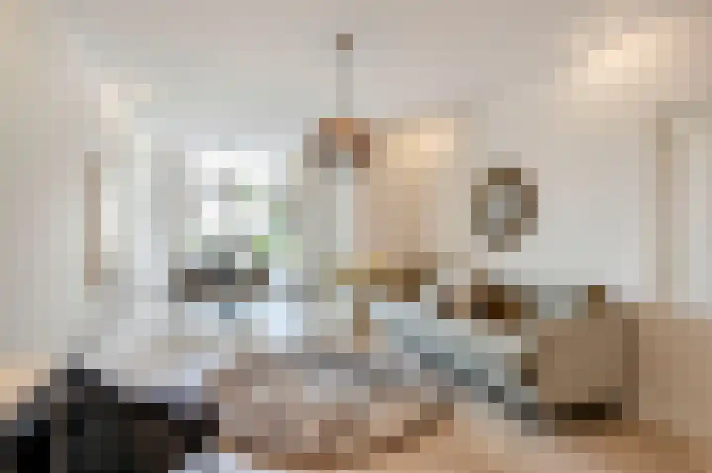 Copernicuslaan 58 Den Haag thumbnail 7