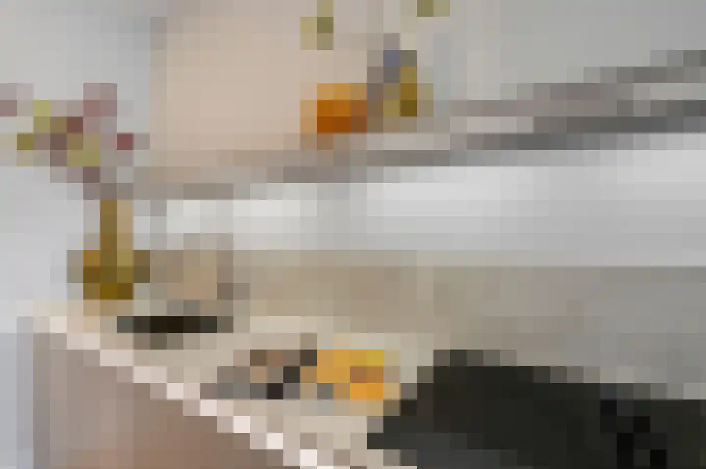 Copernicuslaan 58 Den Haag thumbnail 8