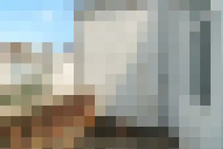 Copernicuslaan 7 Den Haag thumbnail 26