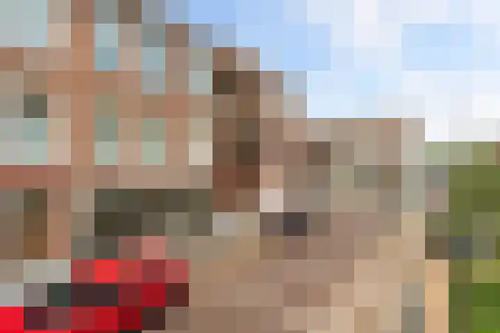 Copernicuslaan 7 Den Haag thumbnail 30