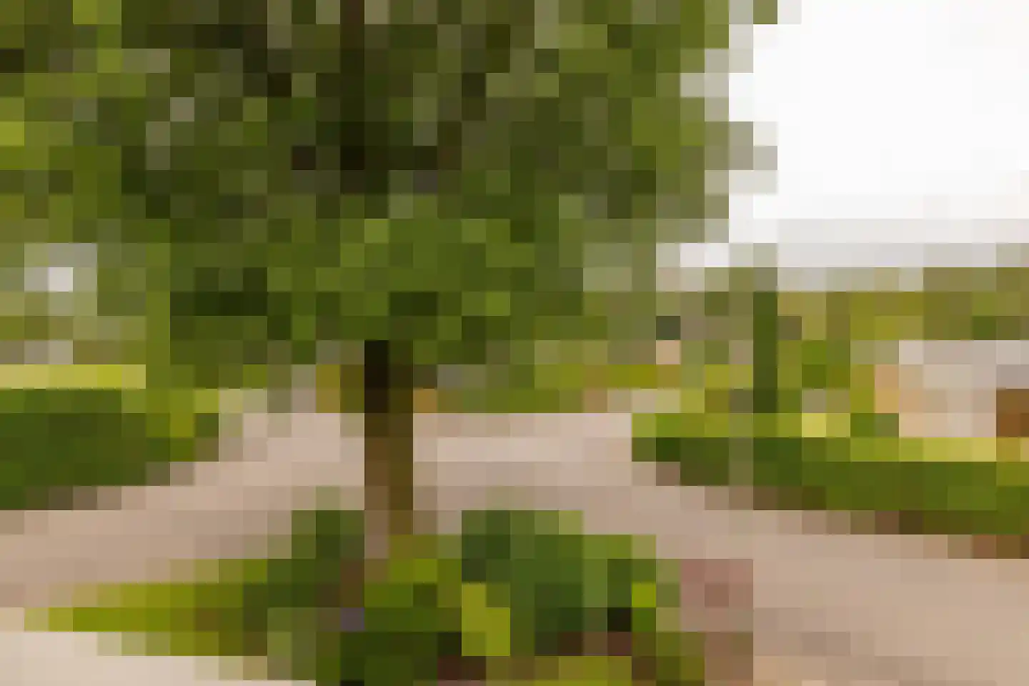 Copernicuslaan 7 Hoogeveen thumbnail 27