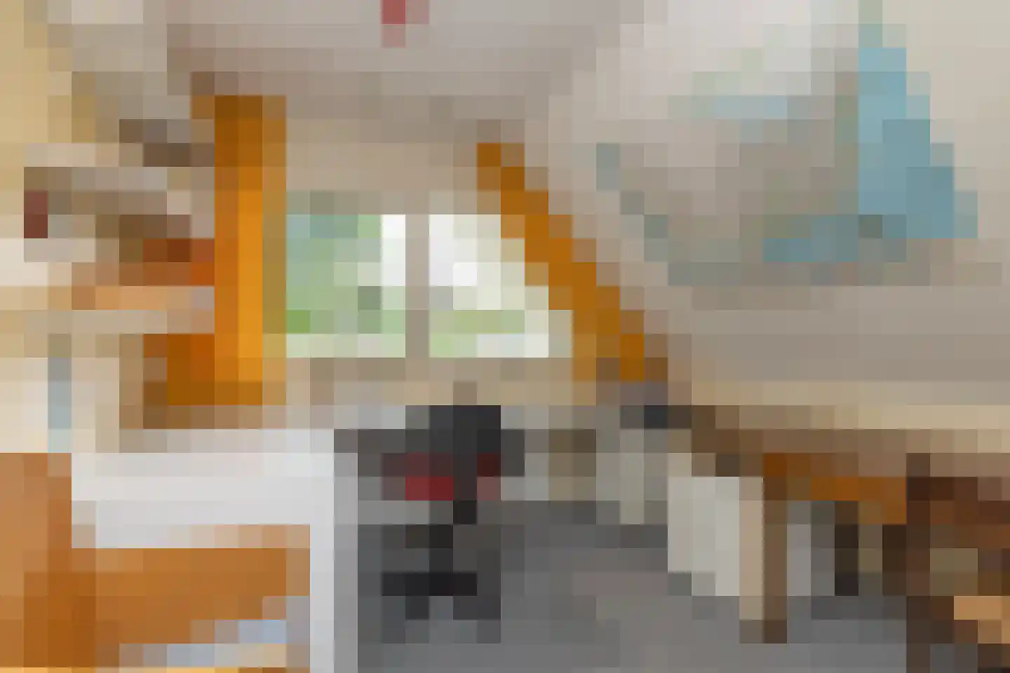 Copernicuslaan 7 Hoogeveen thumbnail 29