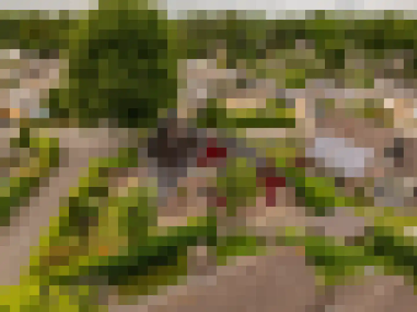 Copernicuslaan 7 Hoogeveen thumbnail 5