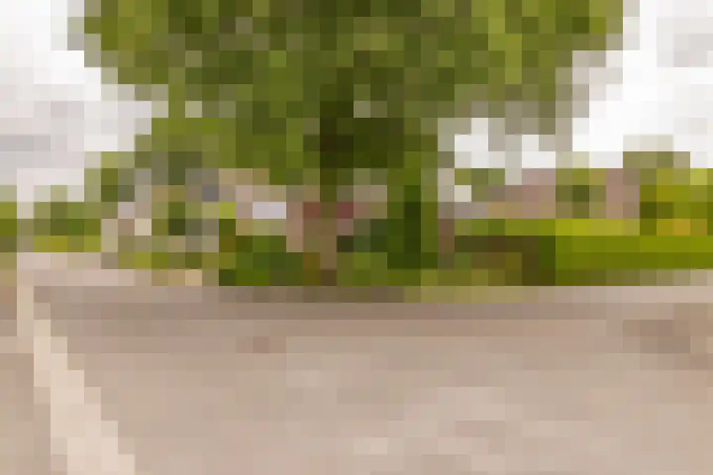 Copernicuslaan 7 Hoogeveen thumbnail 56